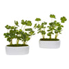 Nearly Natural 8838-S2 10" Artificial Green Clover Plant in White Planter, Set of 2