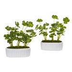 Nearly Natural 8838-S2 10" Artificial Green Clover Plant in White Planter, Set of 2