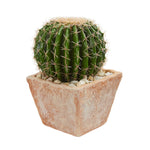 Nearly Natural 8123 17" Artificial Green Cactus Plant in Terra Cotta Planter
