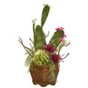 Nearly Natural P1009 26" Artificial Green & Pink Mixed Cactus Plant in Decorative Planter