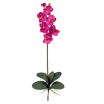 Nearly Natural Phalaenopsis Silk Orchid Flower w/Leaves (6 Stems)