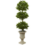 Nearly Natural 5949 5.5' Artificial Green Triple Bay Leaf Topiary Tree in Urn, UV Resistant (Indoor/Outdoor)