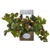 Nearly Natural 6999 13.75" Artificial Green Strawberry Bush in Garden Planter