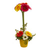 Nearly Natural Gerber Daisy Artificial Arrangement in Ceramic Vase