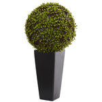 Nearly Natural 6396 2.5" Artificial Green Mohlenbechia Ball Plant in Black Tower Vase