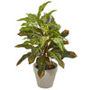 Nearly Natural 4354 2' Artificial Green Croton Plant in White Planter