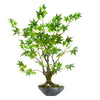 Nearly Natural 9178 30" Artificial Green Maple Bonsai Tree in Planter