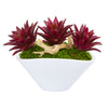 Nearly Natural 8469 9" Artificial Red Triple Spiky Succulent Plant in White Vase
