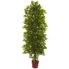 Nearly Natural 5492 6' Artificial Green Four Tier Mini Ficus Tree, UV Resistant (Indoor/Outdoor)