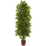 Nearly Natural 5492 6' Artificial Green Four Tier Mini Ficus Tree, UV Resistant (Indoor/Outdoor)