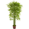 Nearly Natural 5510 5.5' Artificial Green Bamboo Tree, UV Resistant (Indoor/Outdoor)