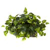 Nearly Natural Pothos Set on Foam Sheet Silk Plant