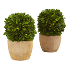 Nearly Natural 4367-S2 7" Artificial Green Boxwood Ball Preserved Plant in Decorative Planter, Set of 2