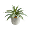 Nearly Natural P1515 9” Aloe Succulent Artificial Plants