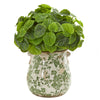 Nearly Natural 8568 18" Artificial Green Real Touch Peperomia Plant in Floral Vase 