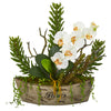 Nearly Natural A1171 20" Artificial Green & White Orchid Phalaenopsis & Mix Succulent Arrangement