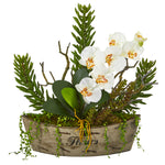 Nearly Natural A1171 20" Artificial Green & White Orchid Phalaenopsis & Mix Succulent Arrangement