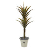 Nearly Natural 9553 62" Artificial Green Yucca Tree in Decorative Planter