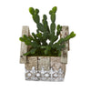Nearly Natural 8848 10" Artificial Green Cactus Succulent Plant in Hanging Floral Design House Planter