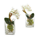 Nearly Natural 1743-S2 11" Artificial White Mini Phalaenopsis Orchid Arrangement in Glass Vase, Set of 2