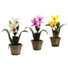 Nearly Natural Cattelya Orchid w/Vase (Set of 3)