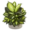 Nearly Natural 6305 23" Artificial Green Giant Dieffenbachia Plant in Stone Planter