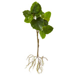 Nearly Natural 6258-S2  39" Artificial Green Foliage Branch with Intricate Roots System, Set of 2