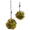 Nearly Natural 4968-S2 7” & 5” Mixed Succulent Spheres (Set of 2)
