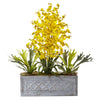 Nearly Natural 1457 Dancing Lady & Staghorn in Stone Planter