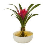 Nearly Natural 8952 13" Artificial Green Ginger Plant in Gold & Cream Elegant Vase