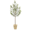 Nearly Natural T2557 75`` Olive Artificial Tree in Country White Planter