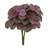 Nearly Natural 6187-S6 14" Artificial Purple Real Touch Peperomia Plant, Set of 6