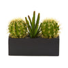 Nearly Natural P1273 11" Artificial Green Cactus Succulent Plant in Black Planter