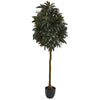 Nearly Natural 5555 6' Artificial Green & Red Mango Leaf Tree