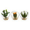 Nearly Natural 8676-S3 7" Artificial Green Mixed Succulent Plant in Glass Vase, Set of 3