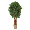 Nearly Natural T2162 6’ Lychee Artificial Tree in Country White Planters