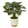 Nearly Natural P1072 22" Artificial Green Variegated Hosta Plant in Cream Planter with Gold Base