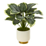 Nearly Natural P1072 22" Artificial Green Variegated Hosta Plant in Cream Planter with Gold Base