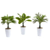 Nearly Natural P1018 18" Artificial Assorted Mini Palm & Banana Plant in White Planter, Set of 3