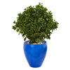 Nearly Natural 9470 32" Artificial Green Peperomia Plant in Blue Planter, UV Resistant (Indoor/Outdoor)