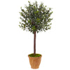 Nearly Natural 5837 4.5' Artificial Green Olive Tree in Terracotta Planter