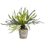Nearly Natural 8268 22" Artificial Green Staghorn Plant in Weathered Oak Planter