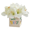 Nearly Natural 12`` Amaryllis Artificial Arrangement in “New Baby`` Vase