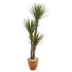 Nearly Natural 9545 65" Artificial Green Yucca Rostrara Tree in Terra Cotta Planter