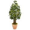 Nearly Natural 9326 4.5' Artificial Green Schefflera Tree in Terra Cotta Planter