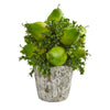 Nearly Natural 1683 Pears & Grass Artificial Arrangement in Weather Planter