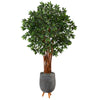 Nearly Natural T2159 6’ Lychee Artificial Tree in Gray Planter with Stand