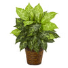 Nearly Natural 8871 19" Artificial Green Diffenbachia Plant in Basket