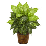 Nearly Natural 8871 19" Artificial Green Diffenbachia Plant in Basket