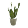 Nearly Natural 8808 25" Artificial Green Flowering Cactus Plant in Green Planter